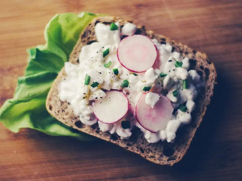 Open-faced sandwich with radishes and cottage cheese.